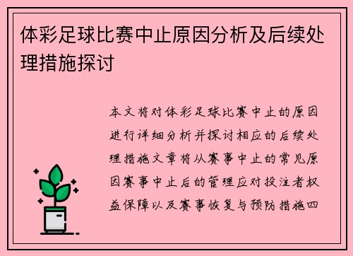 体彩足球比赛中止原因分析及后续处理措施探讨